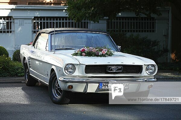 Ford Mustang  Hochzeitswagen mit Rosen dekoriert  weißer Oldtimer  Deutschland  Europa