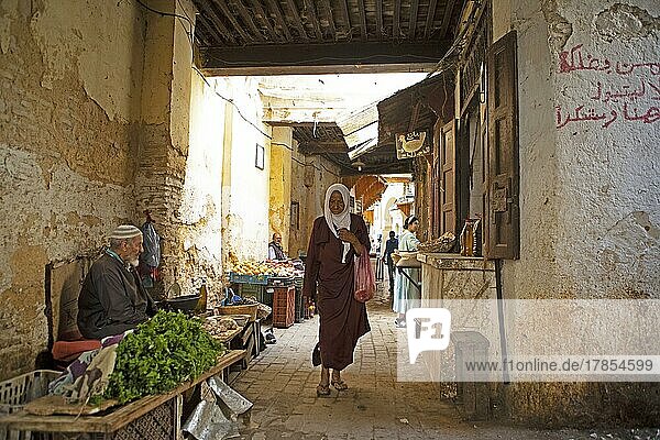 Old Town Alley  Fez  Morocco  Africa