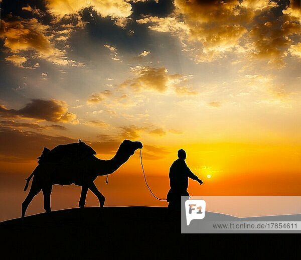 Rajasthan travel background  indian cameleer camel driver with camel silhouette in dunes of Thar desert on sunset. Jaisalmer  Rajasthan  India  Asia