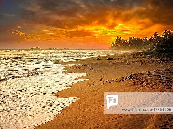 Tropical sunset on ocean beach. Sri Lanka