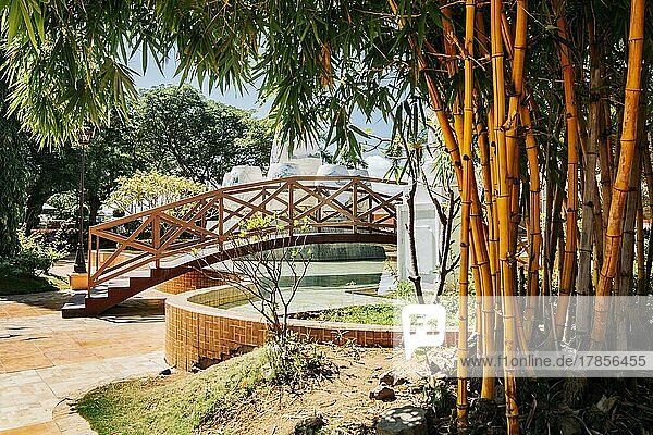 Holzbrücke in einem Park über eine Wasserfontäne  umgeben von Bambus. Seitenansicht einer kleinen Holzbrücke über einen Springbrunnen in einem ruhigen Park. Nagarote Zentralpark  Nicaragua  Mittelamerika