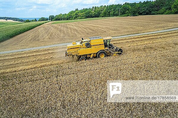Combine harvester harvesting in the field  Gechingen  Germany  Europe