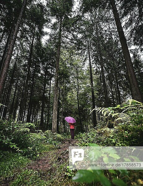 Einsame Frau in rot mit pinkem Regenschirm in mitten des Waldes  Schwarzwald  Deutschland  Europa