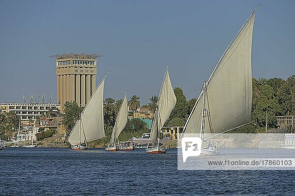 Segelschiffe  Ausflugsboote auf dem Nil bei Assuan  Ägypten  Afrika
