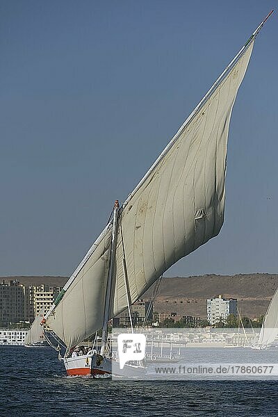 Segelschiff  Feluke  Ausflugsboot  Assuan  Ägypten  Afrika