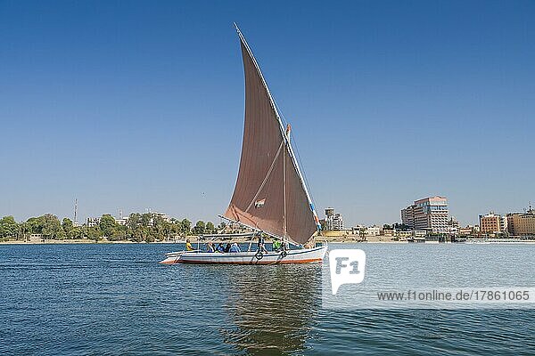 Segelschiff  Feluke  Ausflugsboot  Luxor  Ägypten  Afrika