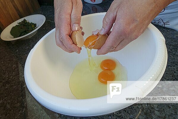 Swabian cuisine  preparing Swiss chard cake  beating eggs  egg yolk  egg white  egg shell  mixing bowl  men's hands  making hearty pastries  cakes  vegetarian  baking  out of the oven  typical Swabian reinterpreted  traditional cuisine  food photography  studio  Germany  Europe