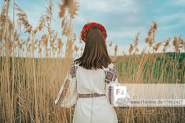 Back view of ukrainian woman in vyshivanka dress on nature background.