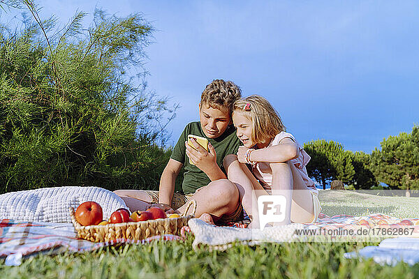 Brother and sister on a picnic looking at a smartphone.