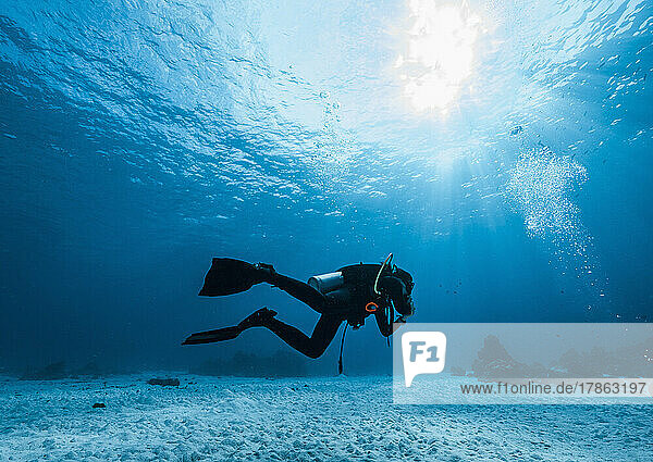 woman diving at the Andaman Sea / Thailand