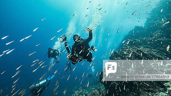 photographer leading group of people under water at the Andaman Sea