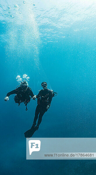 couple diving in the clear water at the Tubbataha Reef
