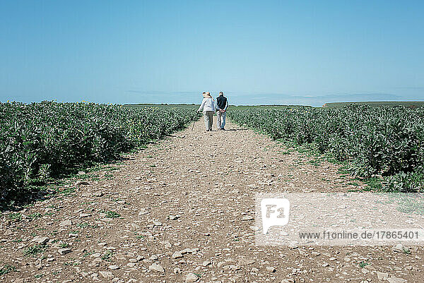 active retired couple walking in a field along the Jurassic Coast