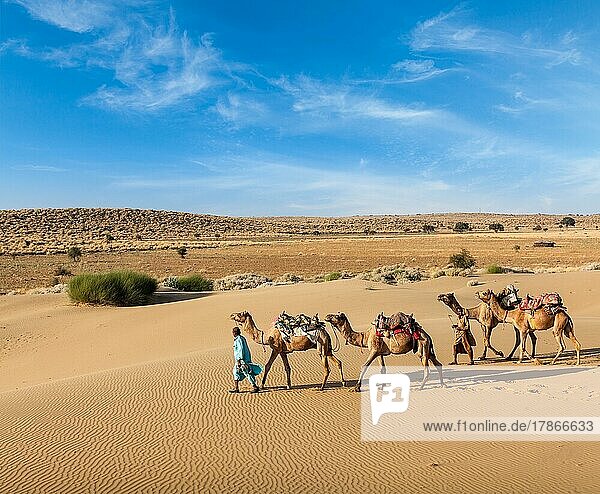 Rajasthan Reisehintergrund  zwei indische Kameltreiber mit Kamelen in den Dünen der Wüste Thar. Jaisalmer  Rajasthan  Indien  Asien