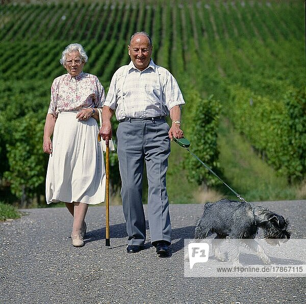 Älteres Paar beim Spaziergang mit Hund Mittelschnauzer