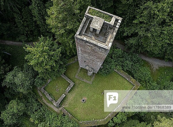 Aerial view of a castle from above with man on the ground  Black Forest  Germany  Europe