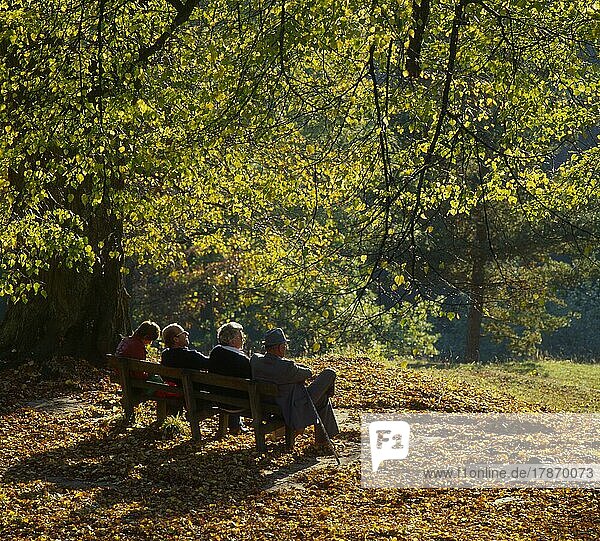 Alte Menschen auf Parkbank im Herbstwald