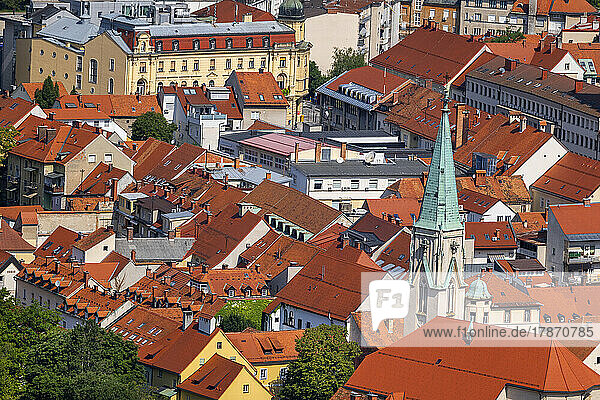 Slowenien  Savinja  Celje  Dächer der Altstadt