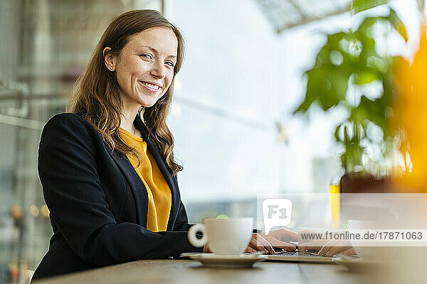 Smiling businesswoman with laptop at cafe