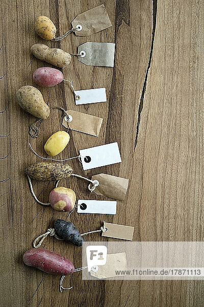 Studioaufnahme verschiedener Sorten etikettierter Kartoffeln  flach vor Holzhintergrund gelegt