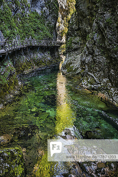 Slovenia  Radovna river flowing through Vintgar Gorge in Triglav National Park