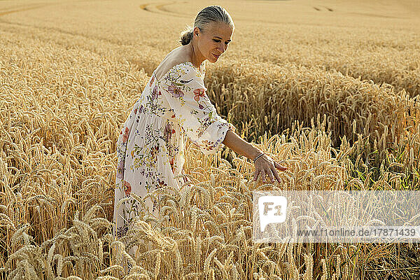 Senior woman touching wheat crop in field