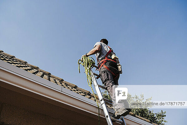Technician moving up on ladder by house rooftop