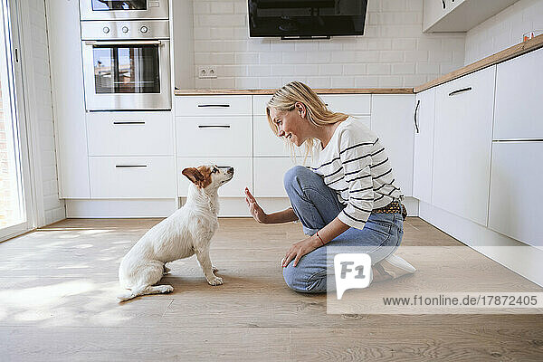 Lächelnde Frau gibt Hund in der heimischen Küche High-Five