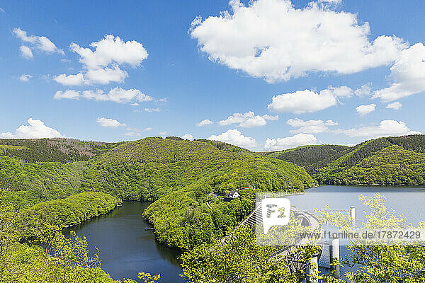 Scenic landscape and Urft dam at Eifel National Park  Germany