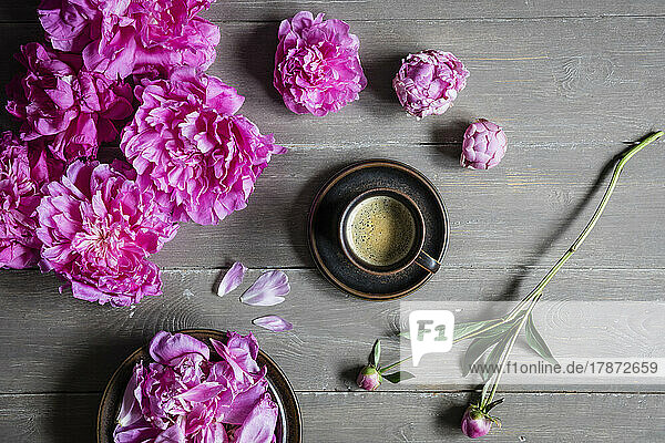 Studio shot of cup of coffee and heads of pink blooming peony flowers lying against wooden background