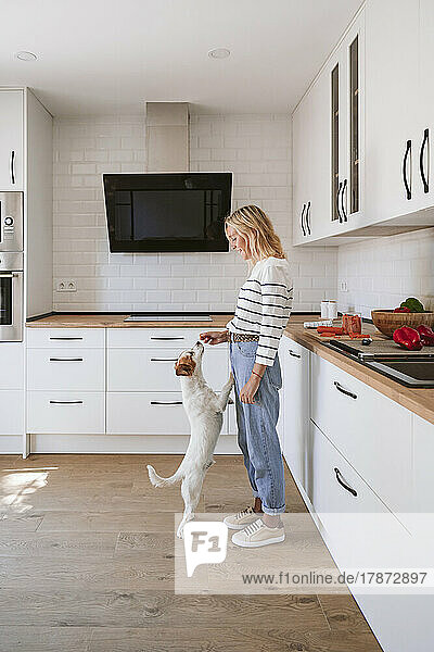 Young woman feeding food to dog in domestic kitchen
