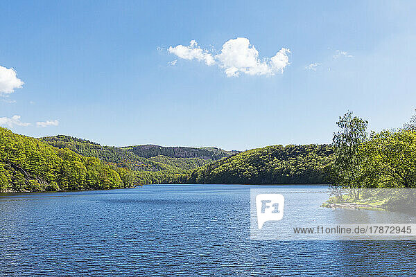 Scenic view of mountains by lake during sunny day taken from boat  Eifel National Park  Germany