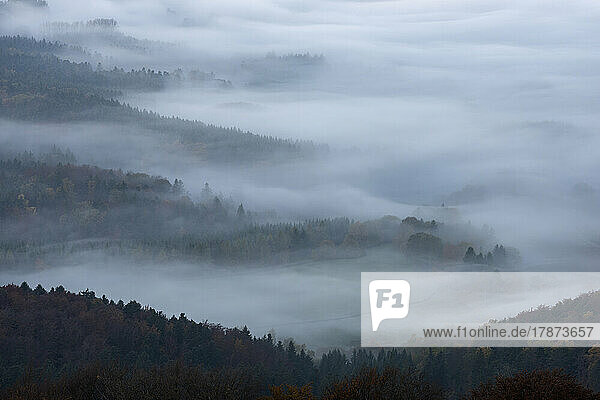 Forested valley shrouded in thick autumn fog