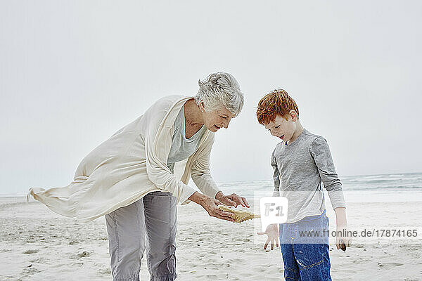 Grandmother and grandson standing on beach looking at seashell