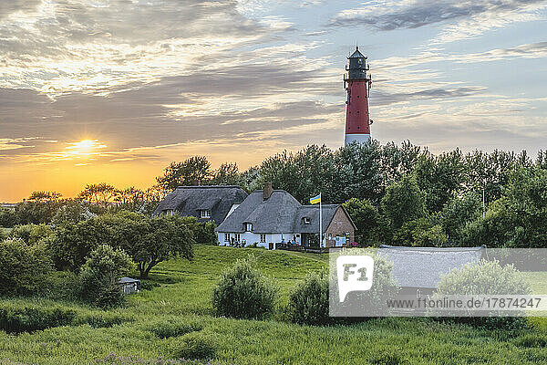 Germany  Schleswig-Holstein  Pellworm  Farmhouses in front of Pellworm Lighthouse at springtime sunset