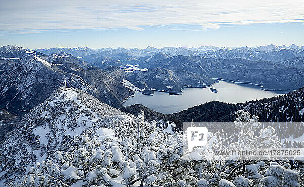 Beautiful Walchensee and Bavarian Prealps seen from Mt. Herzogstand  Bavaria  Germany
