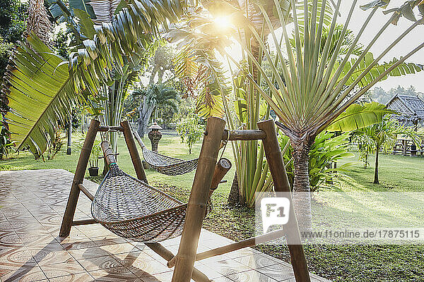 Hammock hanging by palm trees at resort