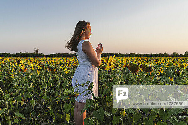 Woman with hands clasped meditating at sunflower field on sunset