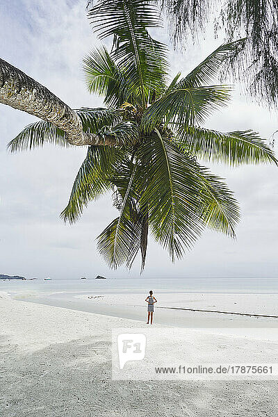 Seychelles  Praslin  Girl standing alone on beach with palm tree in foreground