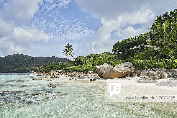 Seychelles  Praslin  Boulders lying along tropical beach