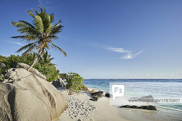 Seychelles  La Digue  Tropical beach in summer