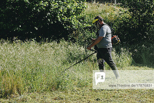 Farmer using lawn mower at field