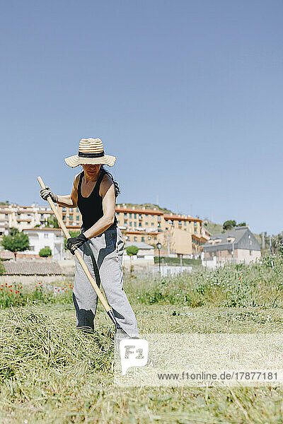 Farm worker with rake cleaning field on sunny day