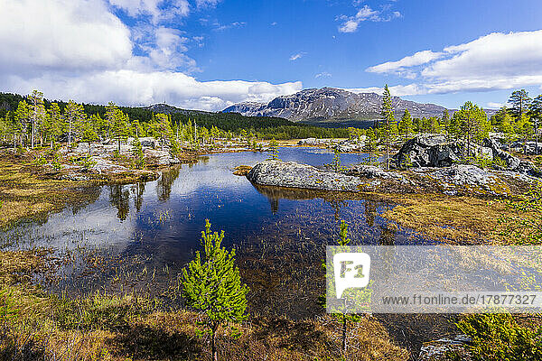 Sweden  Norrbotten County  Clear alpine lake in summer