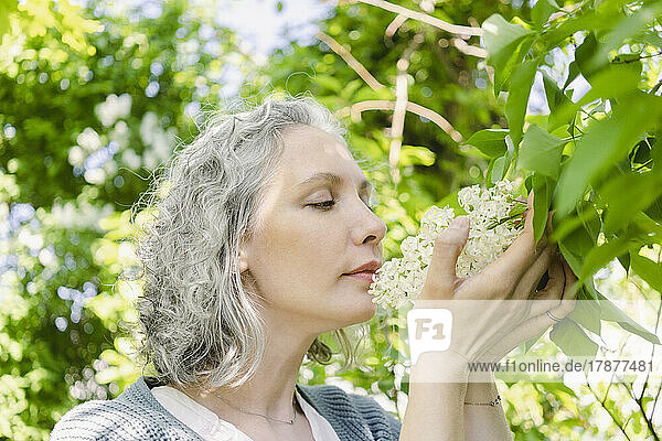 Frau mit grauem Haar riecht nach Blüten im Park