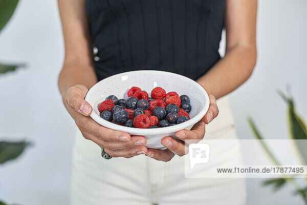 Hands of woman holding bowl of fresh berries