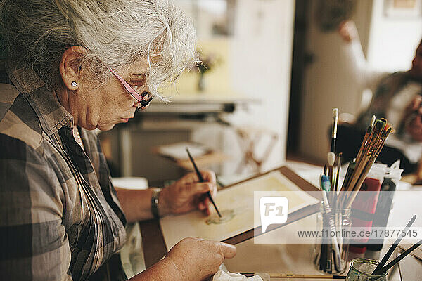 Senior woman painting with paintbrush at home