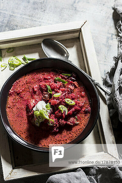 Bowl of ready-to-eat borscht with kidney beans