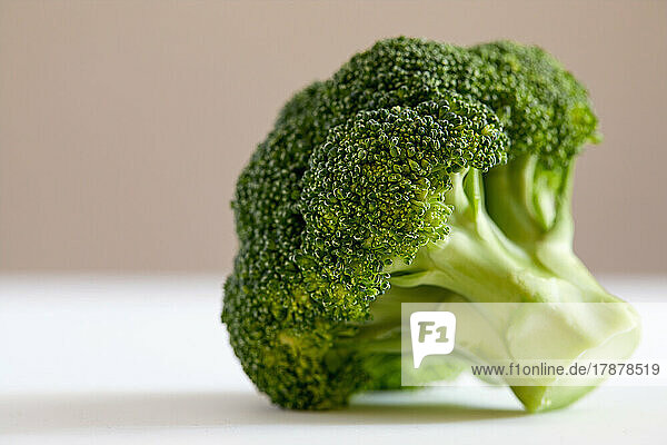 Studio shot of broccoli