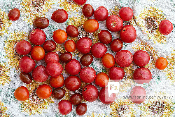 Overhead view of cherry tomatoes on towel